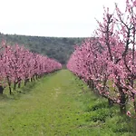 马克西祖母乡村旅馆 *