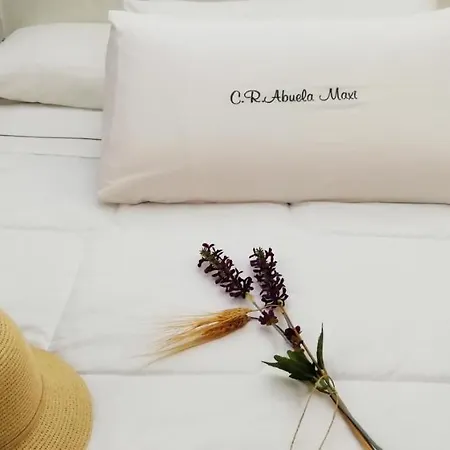 Casa rural Abuela Maxi