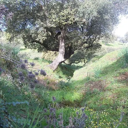 Casa Rural Abuela Maxi *