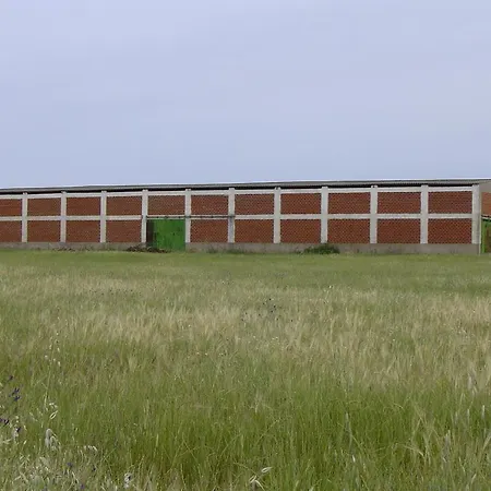 Abuela Maxi Gospodarstwo wiejskie Ríolobos