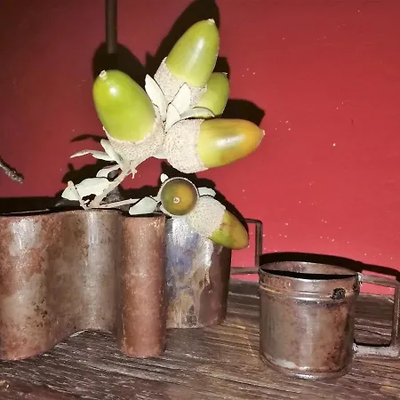 Abuela Maxi Hétvégi ház