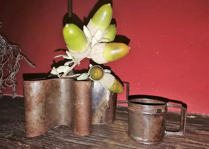 Abuela Maxi Venkovský dům